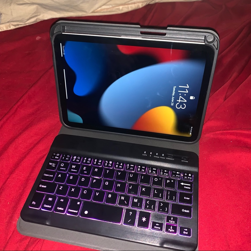 Ipad mini